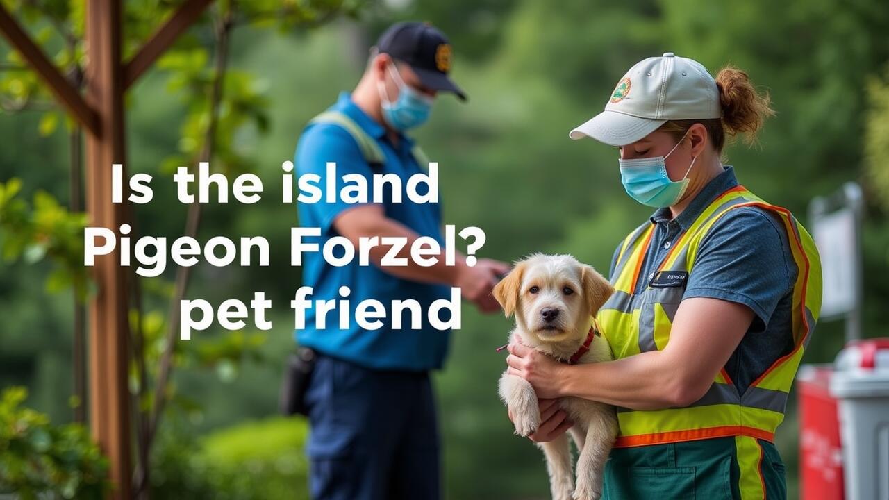 Is the island in Pigeon Forge pet friendly?